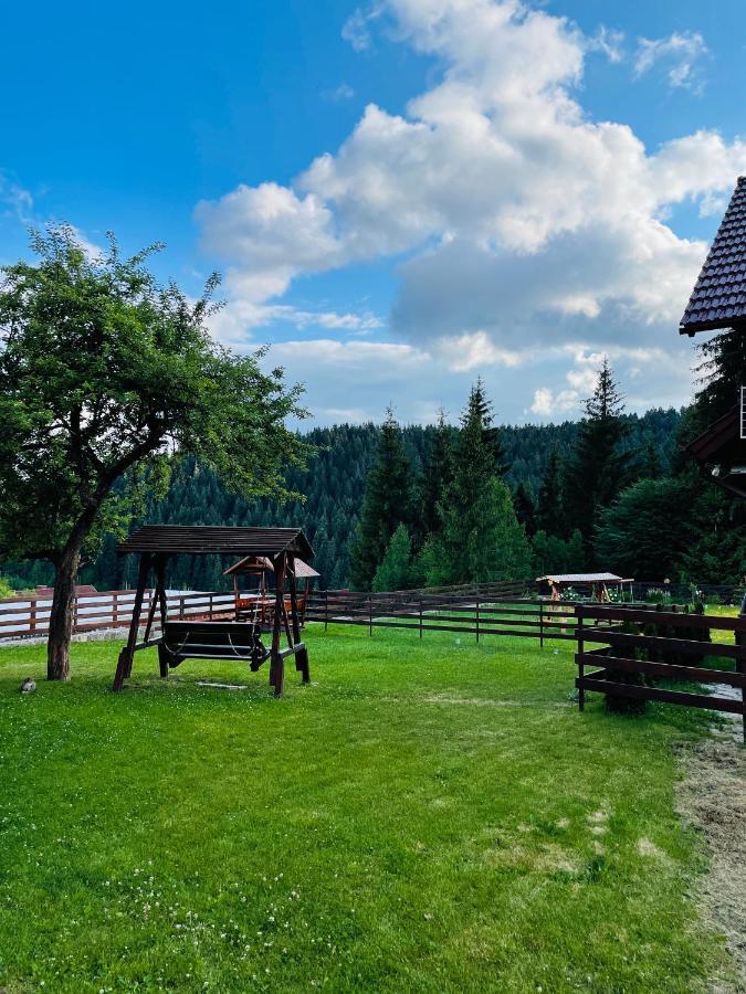 Villa Montana Borsec Dış mekan fotoğraf