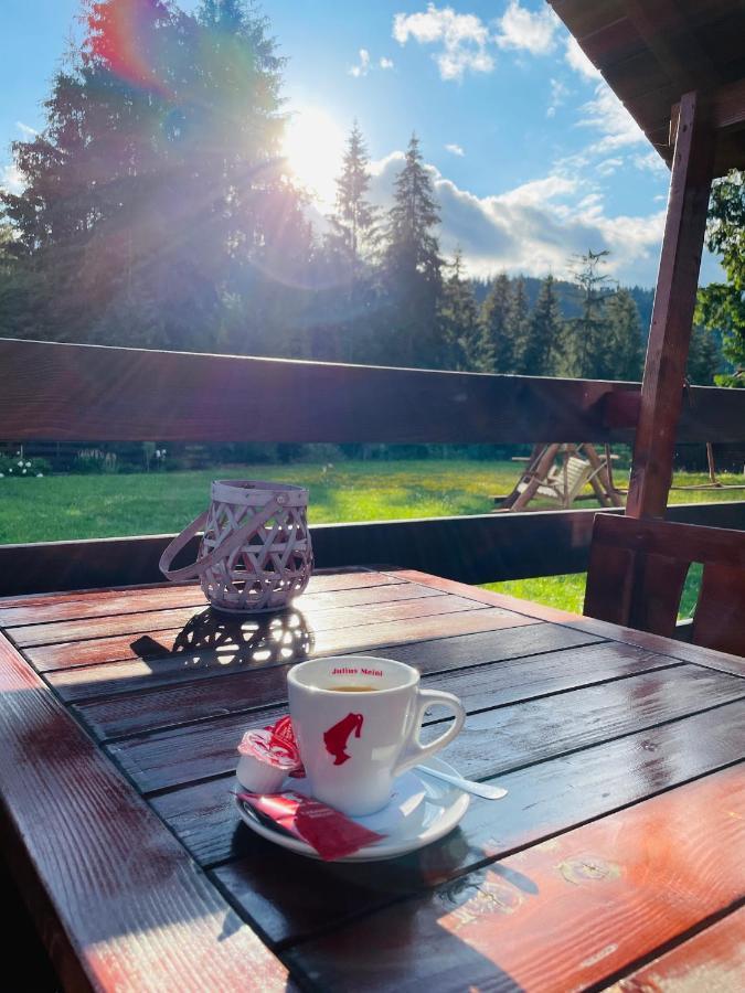 Villa Montana Borsec Dış mekan fotoğraf