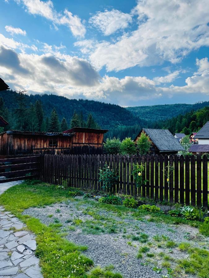 Villa Montana Borsec Dış mekan fotoğraf