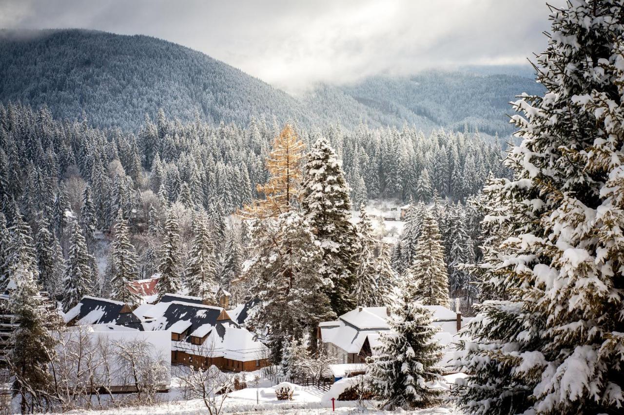 Villa Montana Borsec Dış mekan fotoğraf