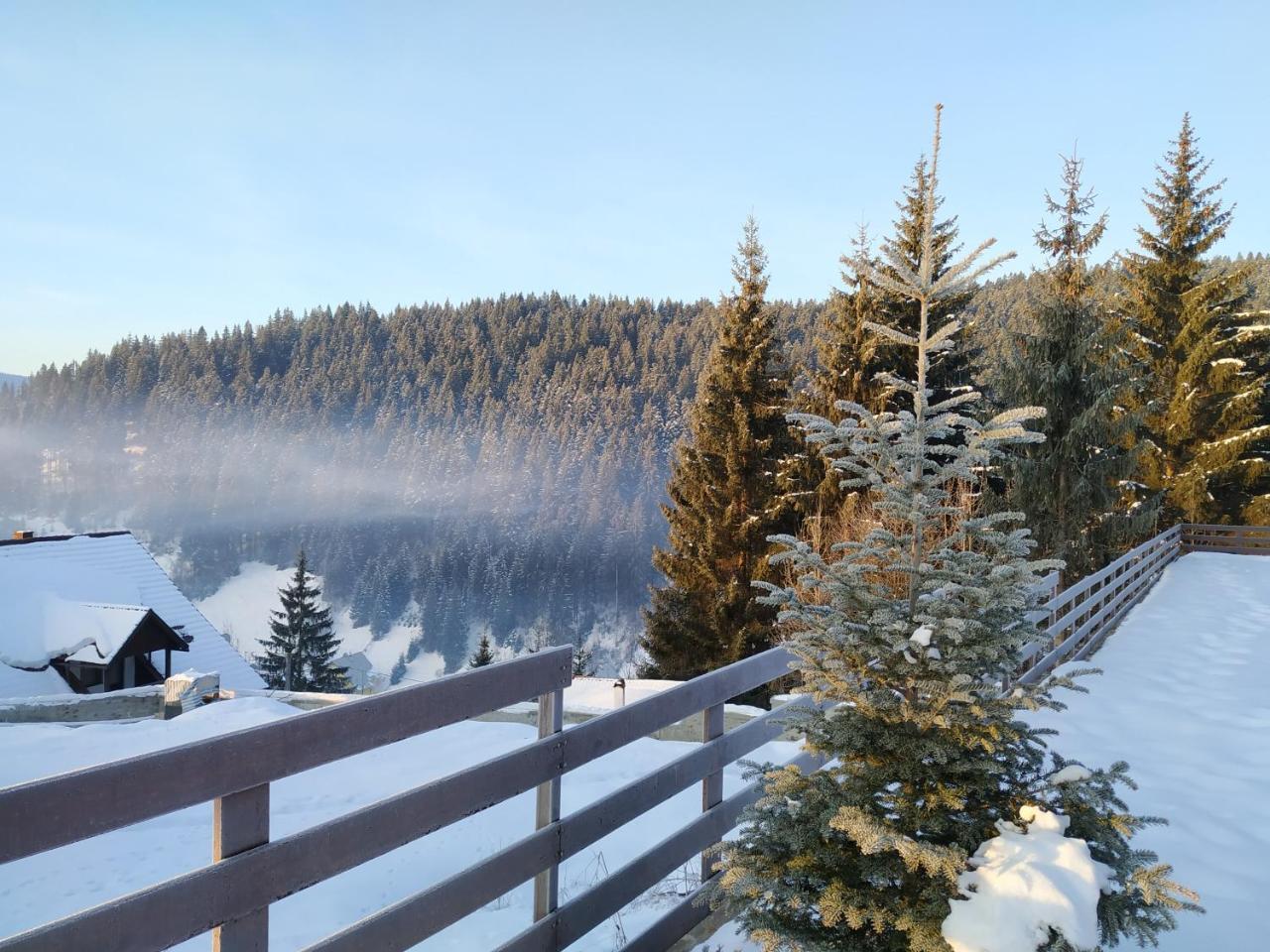 Villa Montana Borsec Dış mekan fotoğraf
