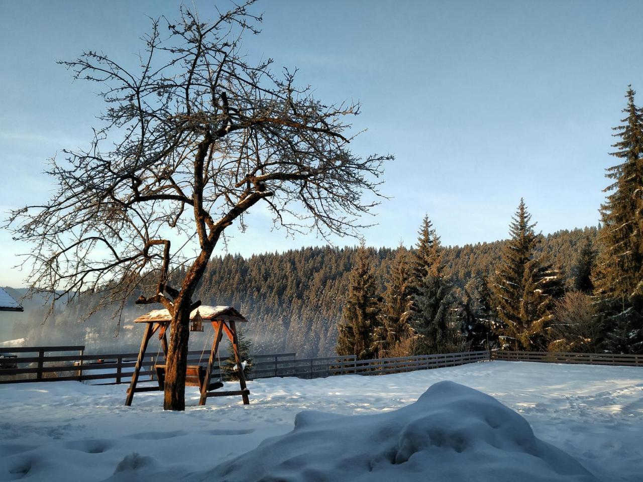 Villa Montana Borsec Dış mekan fotoğraf